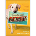 Travels with Casey