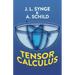 Tensor Calculus