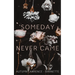 Someday Never Came