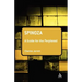 Spinoza: A Guide for the Perplexed