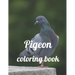 Pigeon coloring book: A Coloring Book of 35 Unique Stress Relief pigeon Coloring Book Designs Paperback