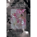Winter Always Turns to Spring A Memoir: My Triumphant Journey Sachiko Takata Bailey