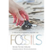 A Beachcomber's Guide to Fossils