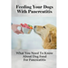 Feeding Your Dogs With Pancreatitis: What You Need To Know About Dog Food For Pancreatitis: Pancreatitis Diet Recipes