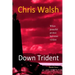 Down Trident: when peaceful protest becomes violent
