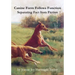 Canine Form Follows Function: Separating Fact from Fiction