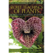 The Secret Teachings of Plants: The Intelligence of the Heart in the Direct Perception of Nature