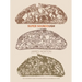 Super Sourdough: The Foolproof Guide to Making World-Class Bread at Home