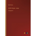 A Doll's House - A play: in large print