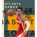 The Story of the Atlanta Hawks