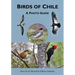 Birds of Chile: A Photo Guide
