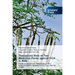 Therapeutic Role of Two Medicinal Plants against CCl4 in Rats