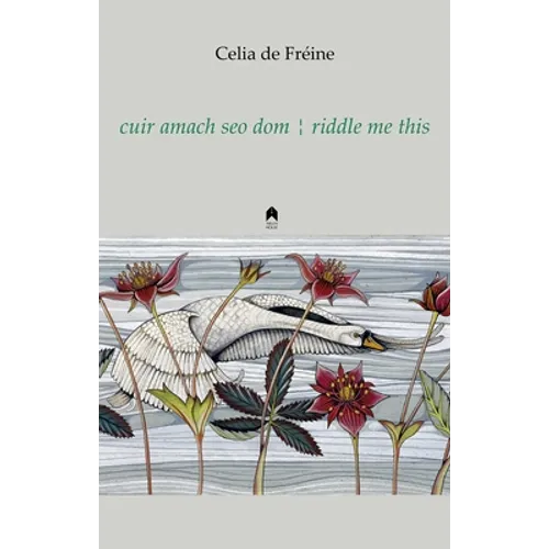 Cuir Amach Seo Dom / Riddle Me This