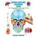 Human Anatomy Coloring Book: A Very Detailed and Informative Guide to the Human Body: Nerves, Bones, Muscles, and How to the Work