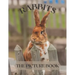 Rabbits: The Picture Book of Cute Rabbits Perfect Gift for Patients, Seniors & Dementia