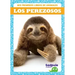 Los Perezosos (Sloths)