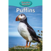 Puffins