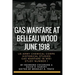 Gas Warfare At Belleau Wood, June 1918: CBRNPro.net Edition