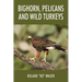 Bighorn, Pelicans and Wild Turkeys