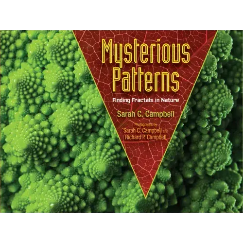 Mysterious Patterns: Finding Fractals in Nature