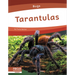 Tarantulas