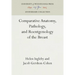 Comparative Anatomy, Pathology, and Roentgenology of the Breast