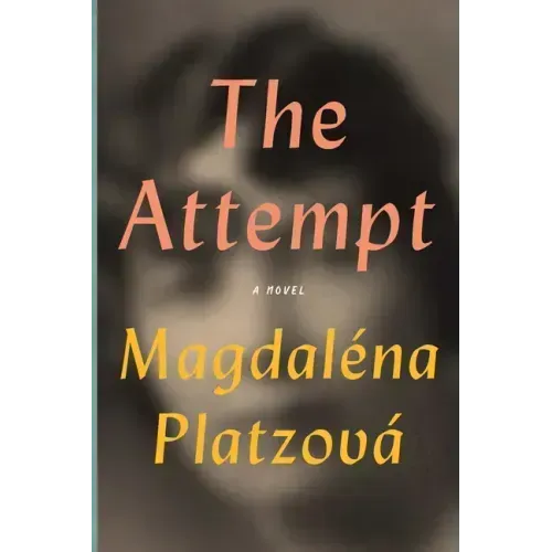 The Attempt