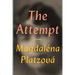 The Attempt