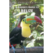 A Birder's Guide to Belize