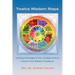 Twelve Wisdom Steps: Unifying Principles of the 12 Steps of A.A. Found in the Wisdom Traditions