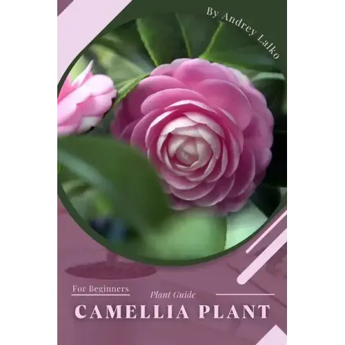Camellia Plant: Prodigy Petal, Plant Guide