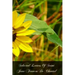 Selected Letters Of Saint Jane Frances De Chantal