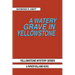 A Watery Grave in Yellowstone: Yellowstone Mystery Series a Parker Wiliams Novel