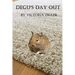 Degu's Day Out