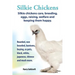 . Silkie Chickens. Silkie Chickens Care, Breeding, Eggs, Raising, Welfare and Keeping Them Happy, Bearded, Non Bearded, Bantoms, Buying, as Pets, Blac