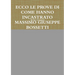Ecco Le Prove Di Come Hanno Incastrato Massimo Giuseppe Bossetti