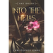 Into the Hells: An Epic LitRPG Series