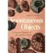 Spontaneous Objects: A Natural History of Art and Its Others