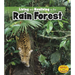 Living and Nonliving in the Rain Forest