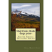 Mail Order Bride: Silver Spring Settlers Series