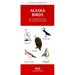 Rocky Mountain Birds: An Introduction to Familiar Species