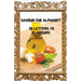 Savour the Alphabet: 26 Letters, 78 Flavours
