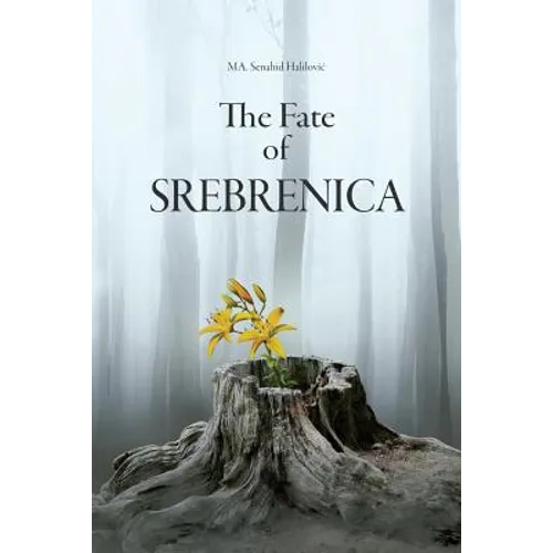 The Fate Of Srebrenica