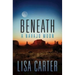 Beneath a Navajo Moon