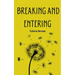 Breaking and Entering