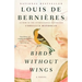 Birds Without Wings