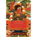 Travels in the Netherworld: Buddhist Popular Narratives of Death and the Afterlife in Tibet