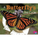 A Butterfly's Life Cycle