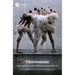Choreomata: Performance and Performativity after AI