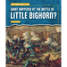 What Happened at the Battle of Little Bighorn?